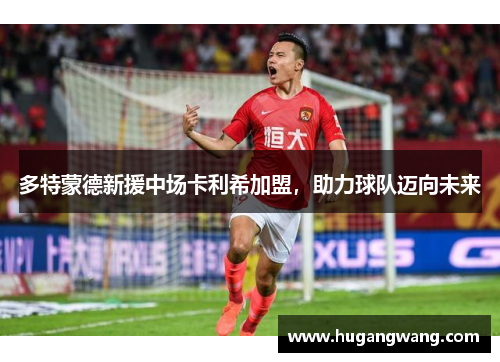 多特蒙德新援中场卡利希加盟，助力球队迈向未来